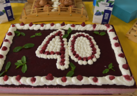 capture-decran-2026-02-08-144631