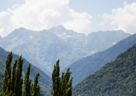 capture-decran-2026-02-08-145221